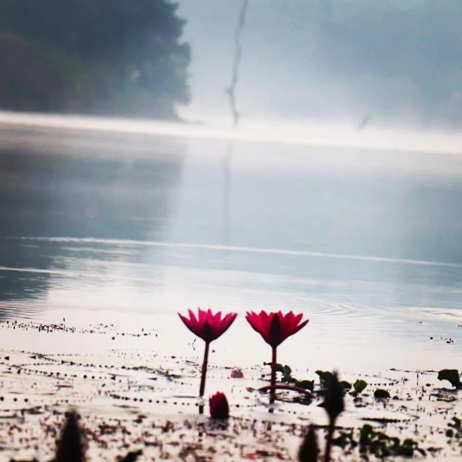 7Heaven Resorts Ambalavayal 0*,