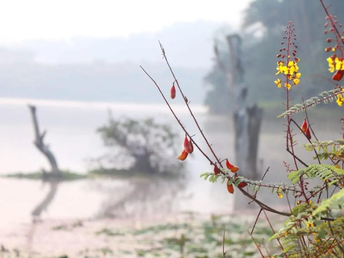 7Heaven Resorts Ambalavayal India